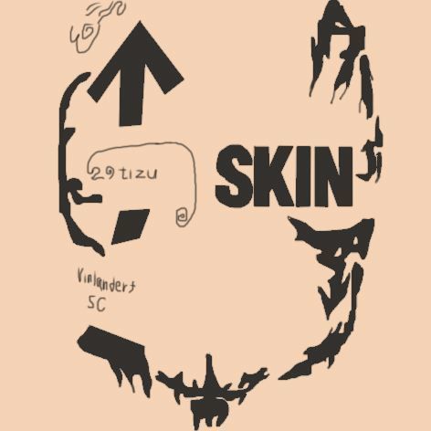 SKINサムネ.jpg